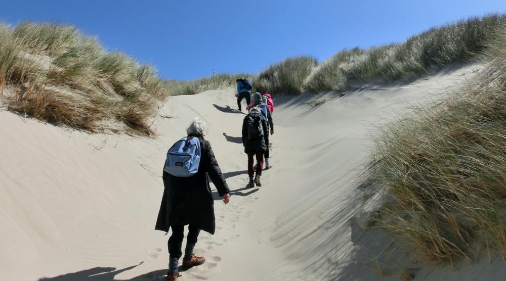 Wandelen op Terschelling