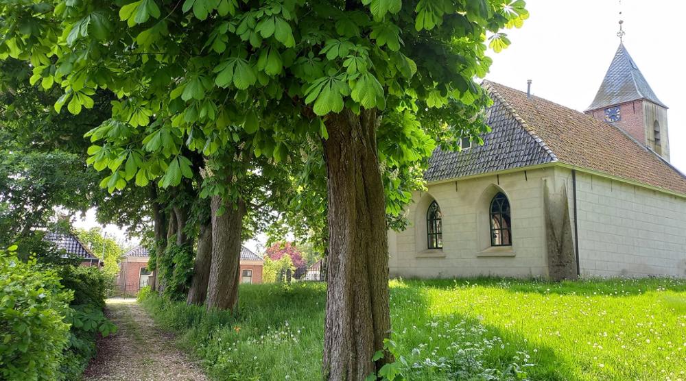 Wandelen op het Hogeland (Groningen)